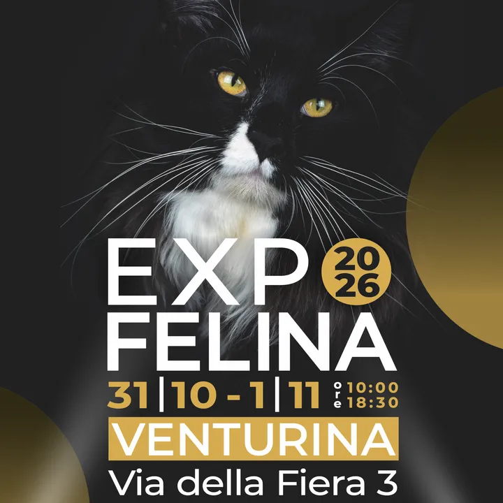 Expo Felina Venturina 2026: vi aspettiamo il 31 ottobre e il 1° novembre