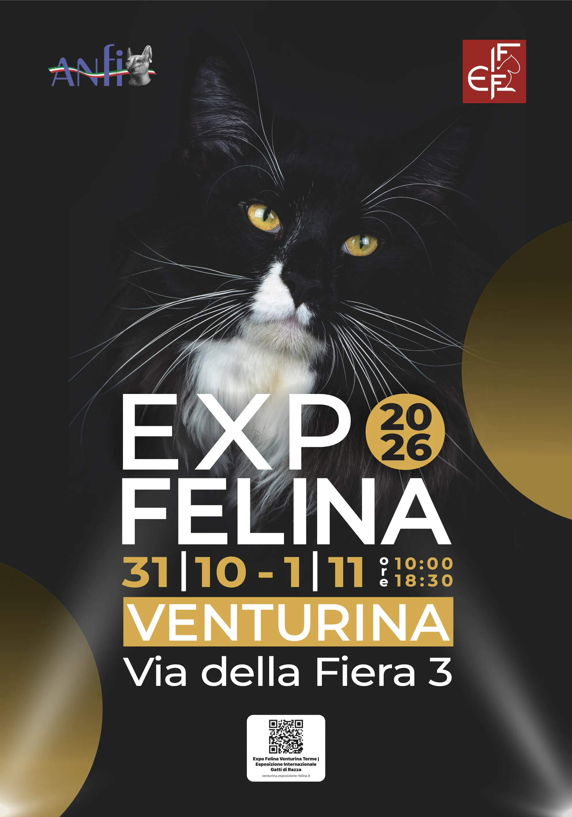 Expo Felina Venturina 2026: vi aspettiamo il 31 ottobre e il 1° novembre
