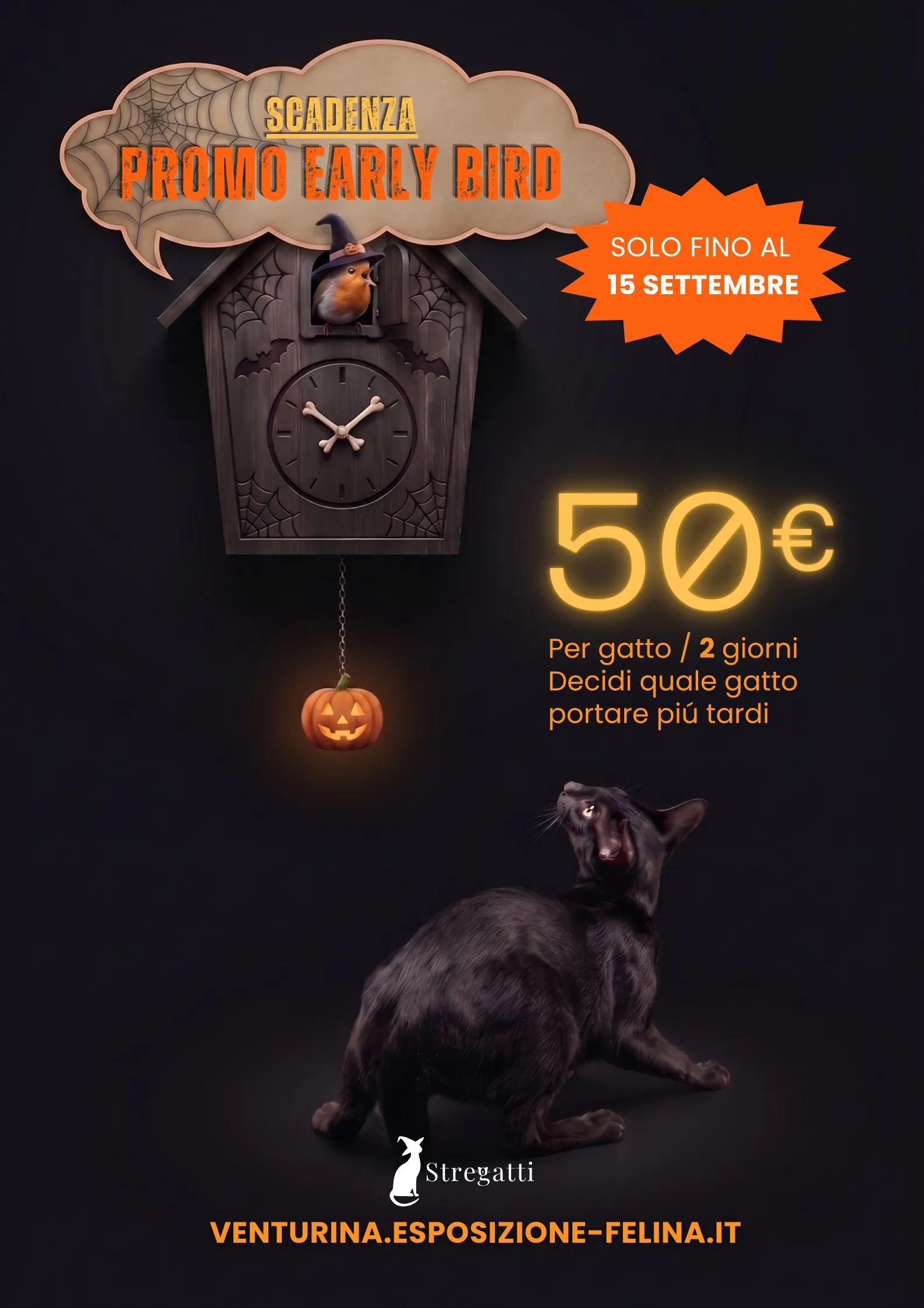 Promo Early Bird Esposizione Felina Venturina 2026: 50 euro a gatto per entrambi i giorni