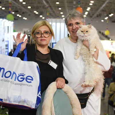 Image for Aspera Basia Felicia 6