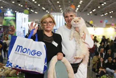 Image for Aspera Basia Felicia 6