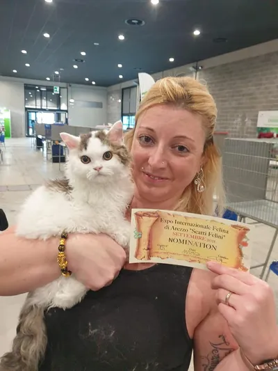 Image for Aspera Basia Giotto 10